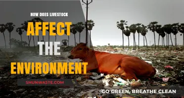 Livestock's Environmental Impact: Climate, Land Use, and Sustainability Explained