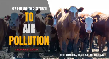 Livestock's Role in Air Pollution: A Comprehensive Overview