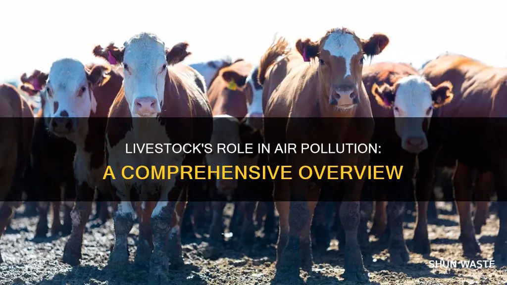 how does livestock contribute to air pollution