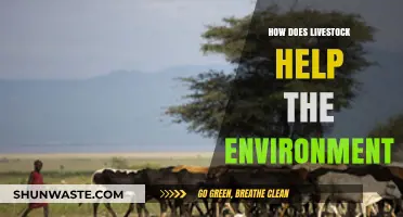 Livestock's Surprising Role in Promoting Environmental Sustainability and Health
