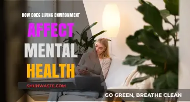 Surroundings and Mind: How Living Spaces Shape Mental Well-Being