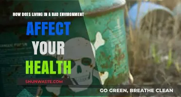 Toxic Surroundings, Toxic Health: The Impact of Poor Environments