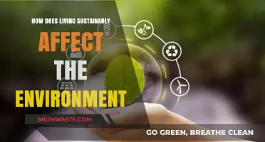 Sustainable Living: Transforming Our Environment Through Eco-Friendly Choices