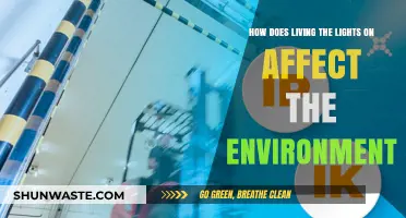 Environmental Impact of Constant Lighting: Energy Use and Ecological Consequences