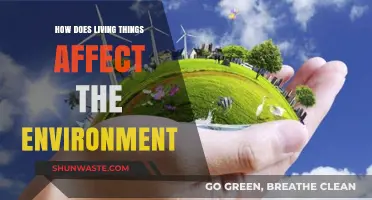 Living Things' Impact: Shaping Ecosystems and Environmental Balance Explained