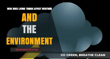Living Things' Impact: Shaping Weather and Environmental Dynamics Explained
