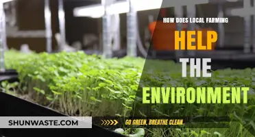 Local Farming's Green Impact: Sustainable Practices for a Healthier Planet