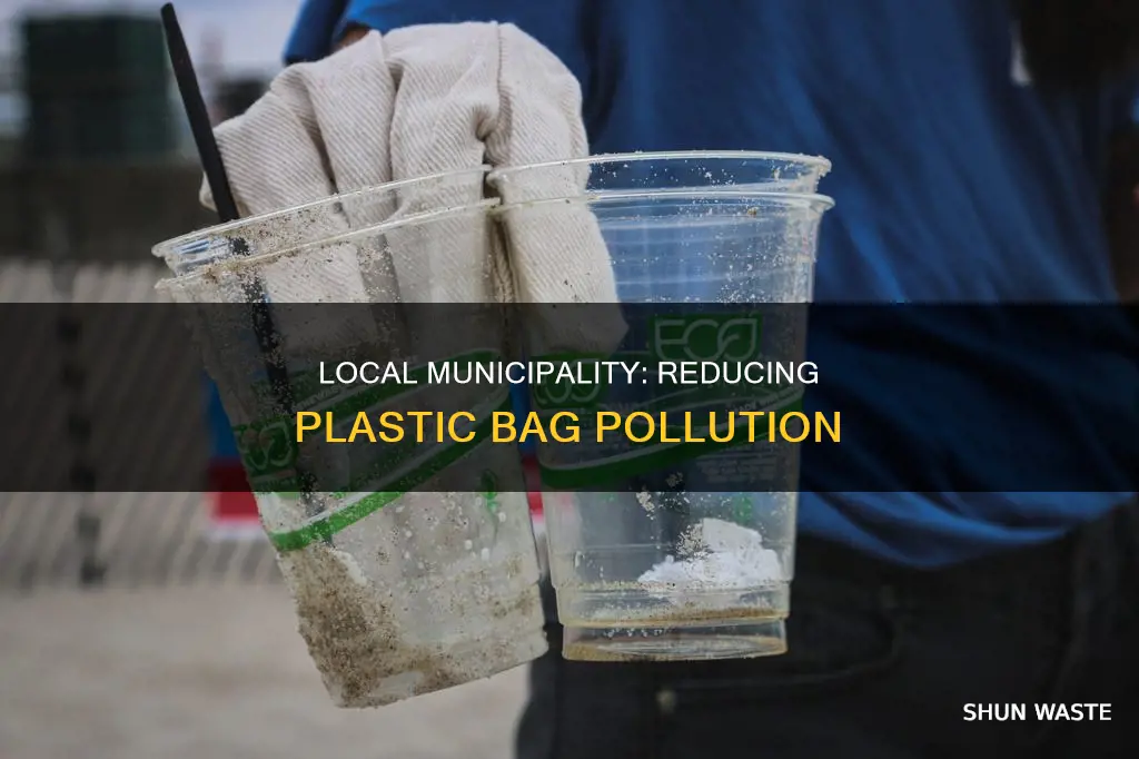 how does local municipality help to reduce plastic bag pollution