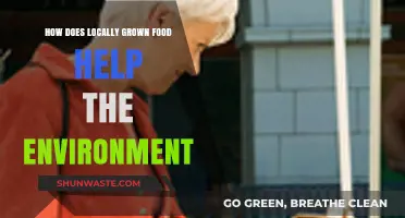 Locally Grown Food: Environmental Benefits and Sustainable Practices Explained