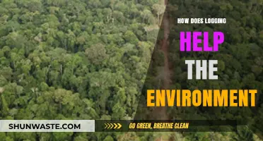 Sustainable Logging Practices: Boosting Ecosystems and Combating Climate Change