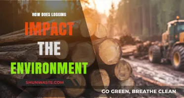 Logging's Environmental Impact: Effects on Ecosystems, Climate, and Biodiversity