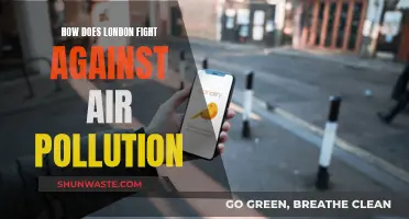 London's Strategies to Combat Air Pollution