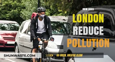 London's Strategies to Reduce Pollution