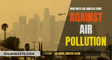 Los Angeles' Battle Against Air Pollution