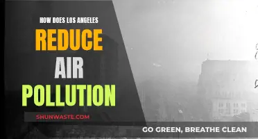 Los Angeles' Strategies to Combat Air Pollution