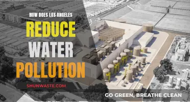 Los Angeles' Water Pollution: Strategies and Solutions