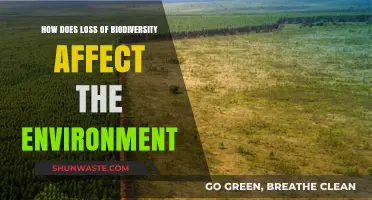 Biodiversity Loss: Devastating Impacts on Ecosystems and Environmental Stability