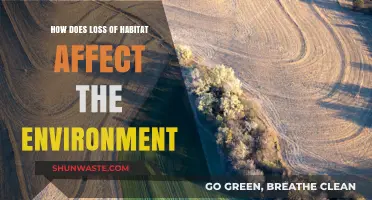 Habitat Loss: Devastating Impacts on Ecosystems and Environmental Balance