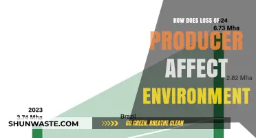 Producer Loss: Environmental Impacts and Ecosystem Disruption Explained