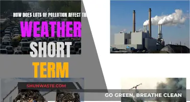 Pollution's Impact on Weather: Short-Term Effects and Insights