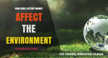 Lottery Winnings: Environmental Impact and Sustainable Spending Strategies