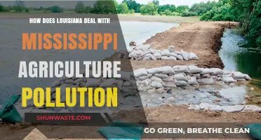 Louisiana's Battle: Mississippi's Agricultural Pollution