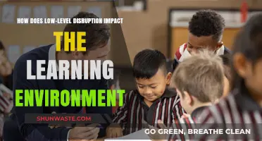 Low-Level Disruption: Its Subtle Yet Profound Impact on Learning Environments