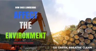 Lumbering's Environmental Impact: Deforestation, Biodiversity Loss, and Climate Change