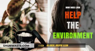 Lush's Eco-Friendly Practices: Sustainable Beauty for a Greener Planet