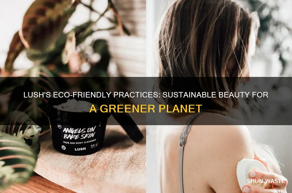 how does lush help the environment