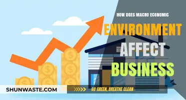 Macroeconomic Factors: Shaping Business Strategies and Outcomes