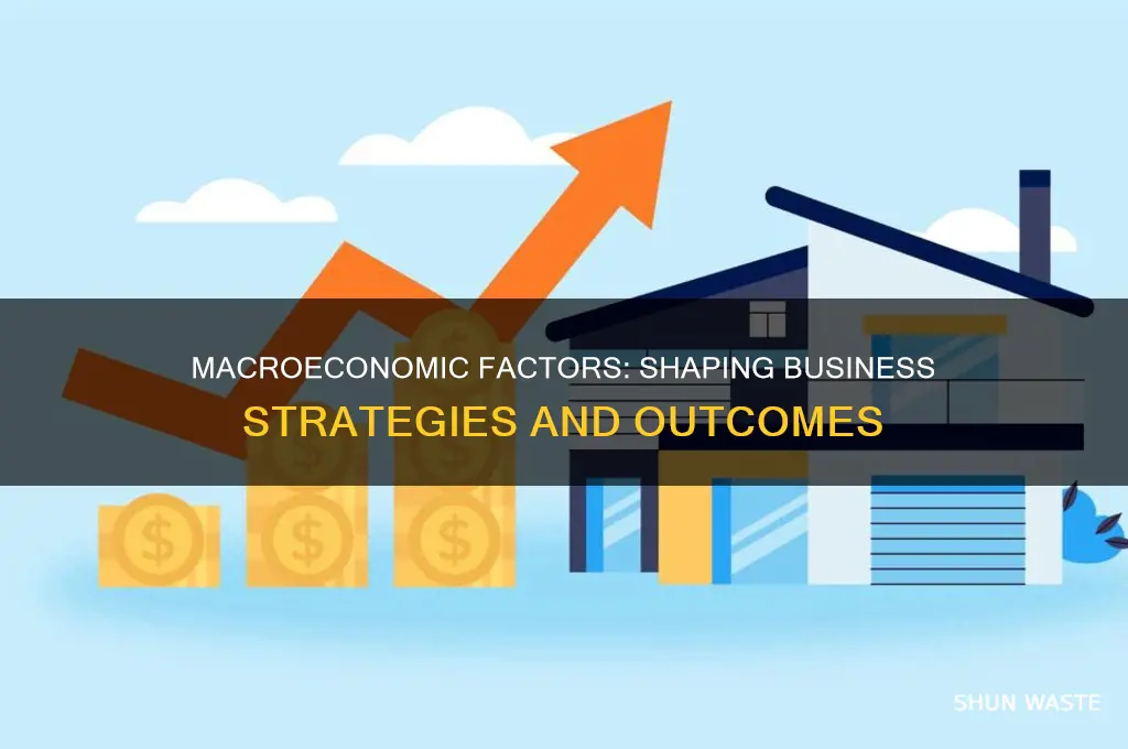 how does macro economic environment affect business