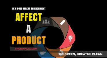 Macro Environment's Impact: Shaping Product Success and Market Dynamics