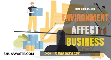 Macro Environment's Impact: Shaping Business Strategies and Outcomes