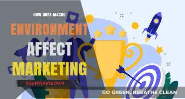 Macro Environment's Impact: Shaping Marketing Strategies and Business Outcomes