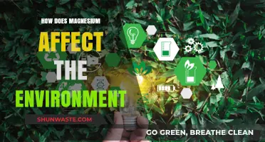 Magnesium's Environmental Impact: Benefits, Risks, and Sustainable Practices Explored