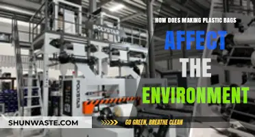 Plastic Bag Production: Environmental Impact and Sustainable Alternatives Explored
