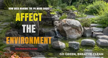 How Basic pH Levels Impact Ecosystems and Environmental Health