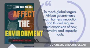 Malaria's Environmental Impact: Ecosystems, Climate, and Biodiversity at Risk
