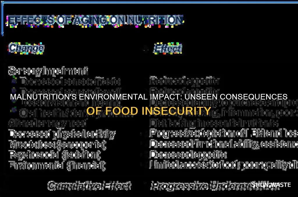how does malnutrition affect the environment