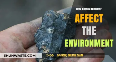 Manganese's Environmental Impact: Effects on Ecosystems and Human Health