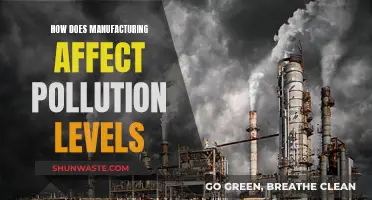 Manufacturing's Impact on Pollution: Understanding the Complex Relationship