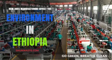 Ethiopia's Manufacturing Impact: Environmental Challenges and Sustainable Solutions