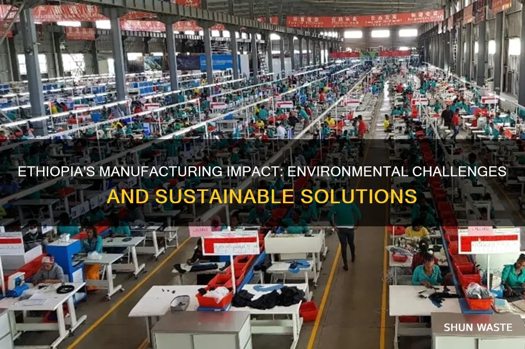 Ethiopia's Manufacturing Impact: Environmental Challenges And ...