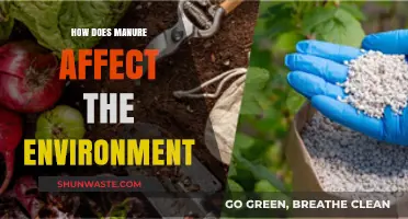 Manure's Environmental Impact: Benefits, Risks, and Sustainable Practices Explained
