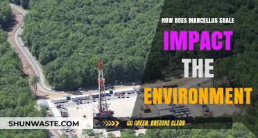 Marcellus Shale: Environmental Impacts and Ecological Consequences Explored