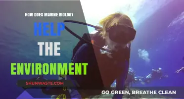 Marine Biology's Vital Role in Protecting Our Fragile Ecosystems