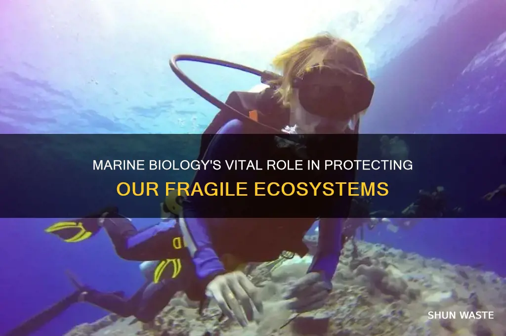 how does marine biology help the environment