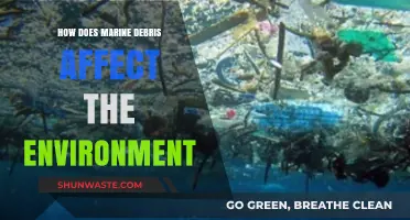 Marine Debris: Devastating Impacts on Ecosystems, Wildlife, and Our Planet