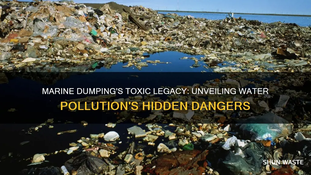 how does marine dumping cause water pollution